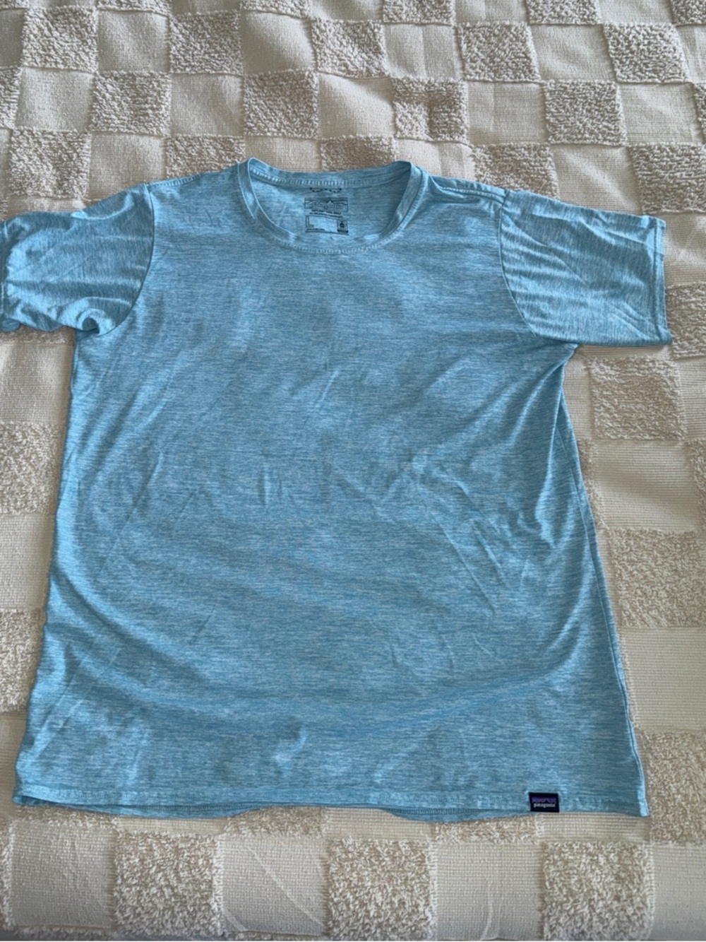 Patagonia Light Blue Short Sleeve Tee